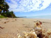 Praia de Peroba, Maragogi-AL